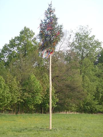 P4302512